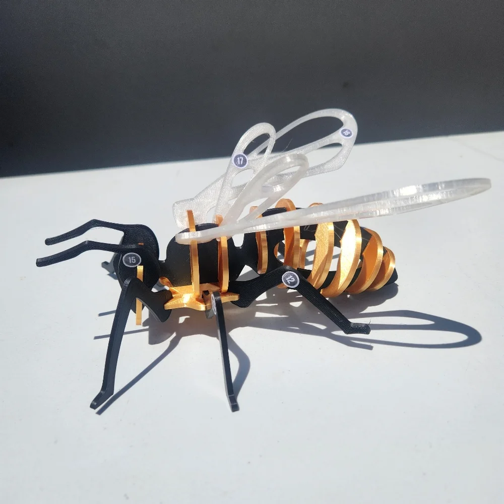 Bee Model Honeybee 3D Puzzle Honey Bees Classroom Science STEM Craft Insect Bugs